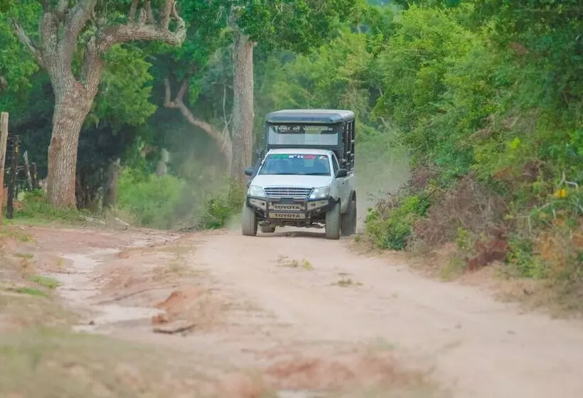 Majatalo Yala Wild House