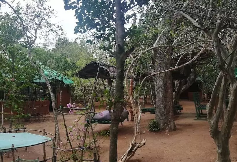 Majatalo Yala Wild House