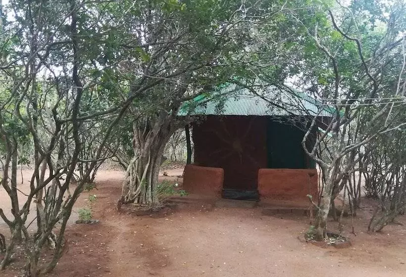 Majatalo Yala Wild House