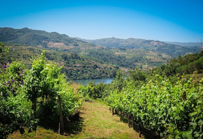 Casa Da Mouta   Douro Valley