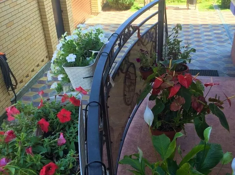 تختخواب و صبحانه Guest House Radost