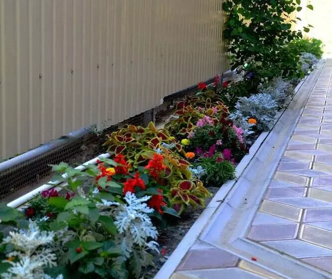 تختخواب و صبحانه Guest House Radost