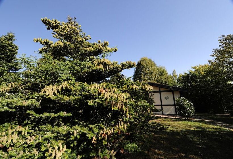 Feriendorf Waldbrunn