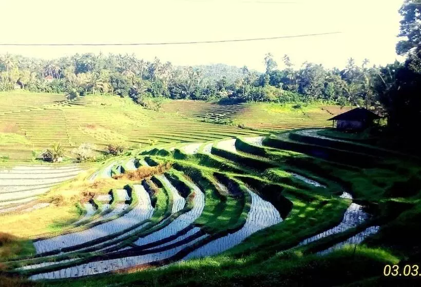 Hotelli Dhyanapura City