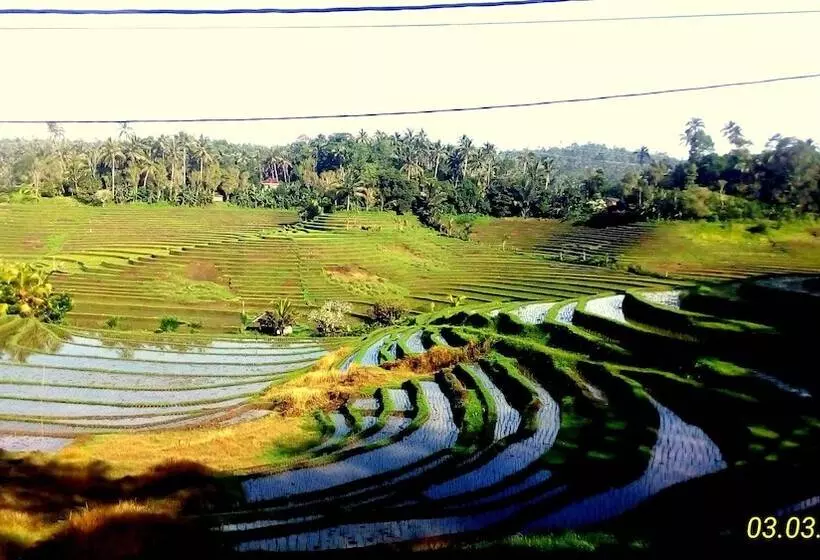 Hotelli Dhyanapura City