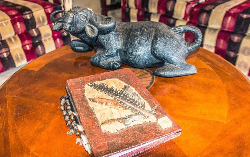 호텔 Mawusi Bush Lodge