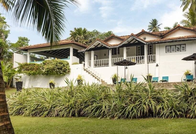 膳宿费 Coco Tangalla