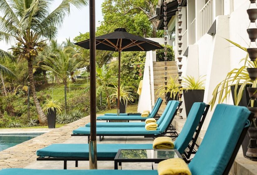 膳宿费 Coco Tangalla