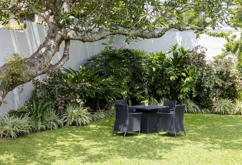 膳宿费 Coco Tangalla