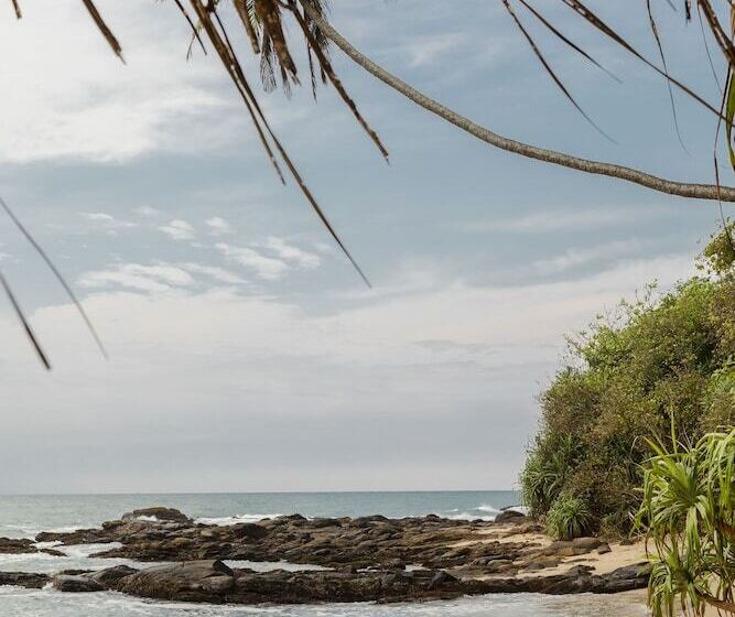 膳宿费 Coco Tangalla