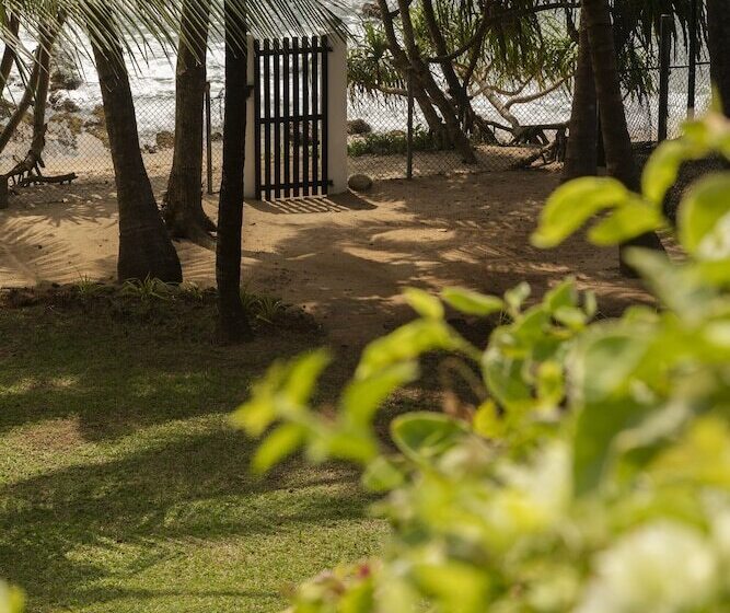 膳宿费 Coco Tangalla