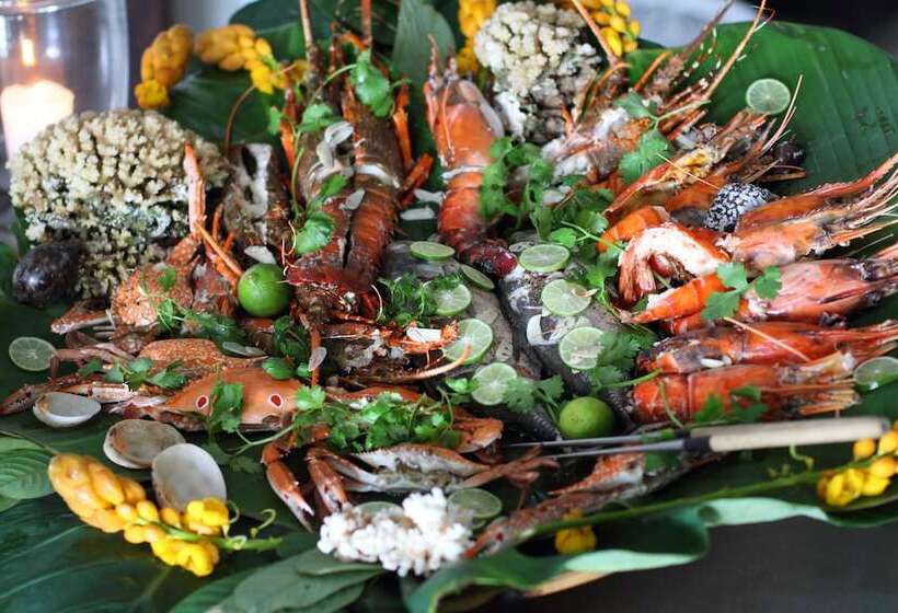 膳宿费 Coco Tangalla