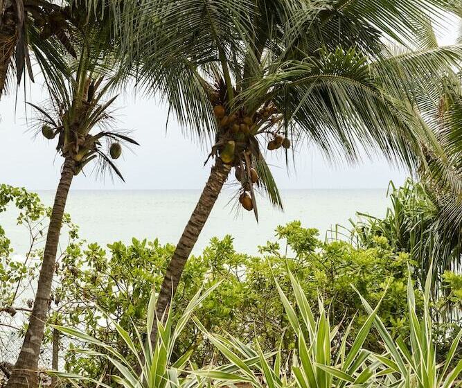 膳宿费 Coco Tangalla