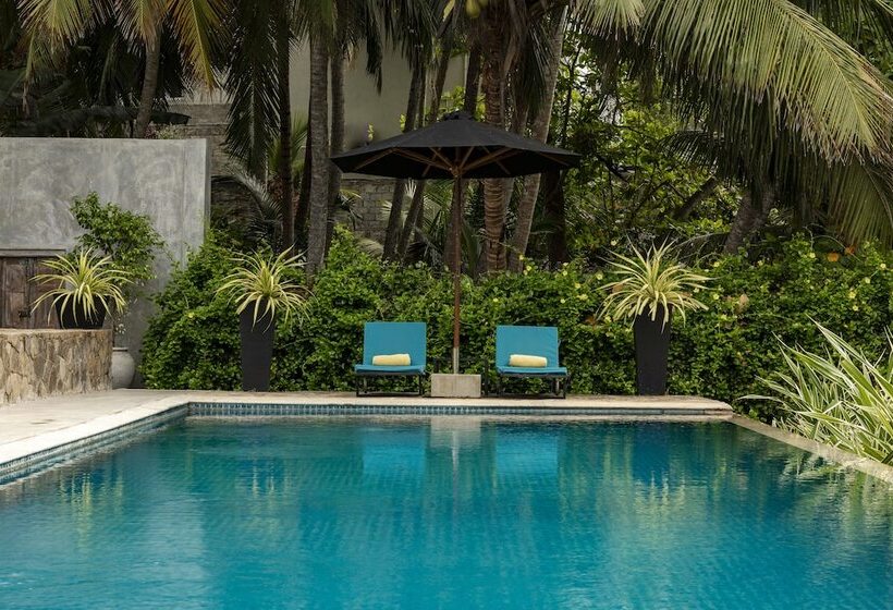 膳宿费 Coco Tangalla