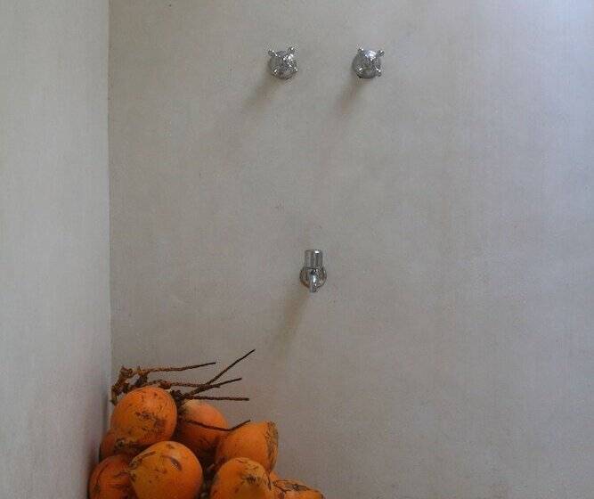 膳宿费 Coco Tangalla