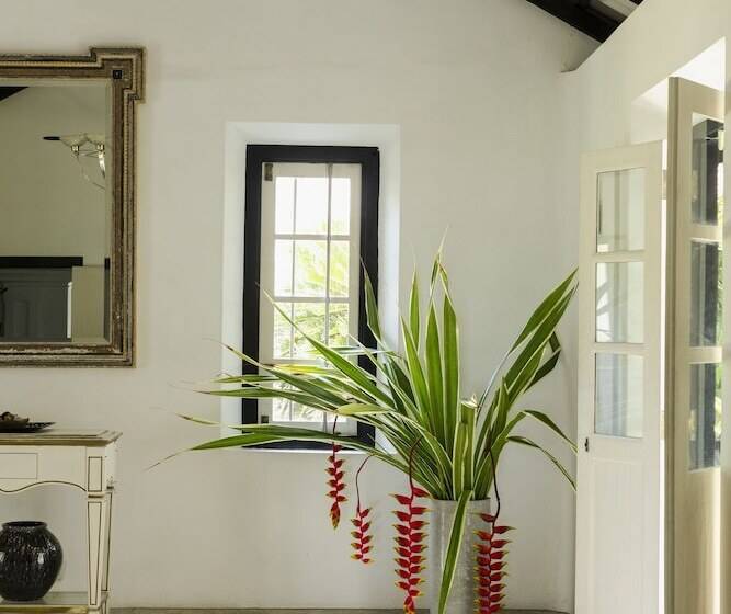 膳宿费 Coco Tangalla