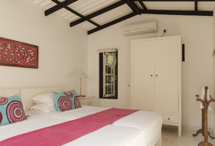 膳宿费 Coco Tangalla