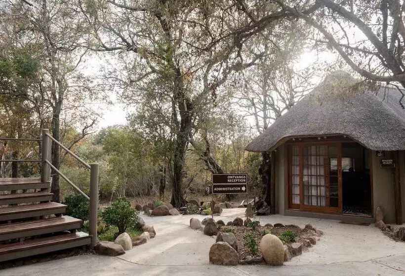 ホテル Bundox Safari Lodge