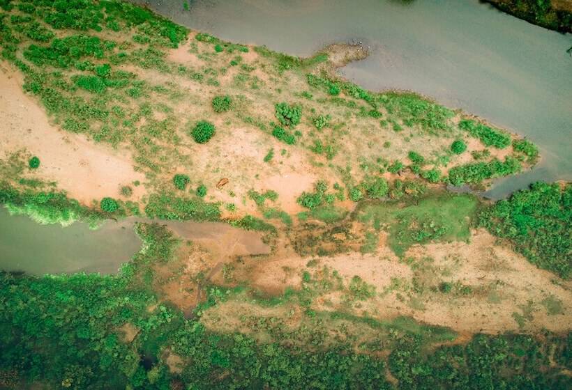 Отель Rio Vista Lodge