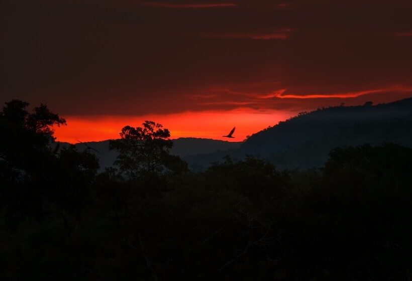 Отель Rio Vista Lodge