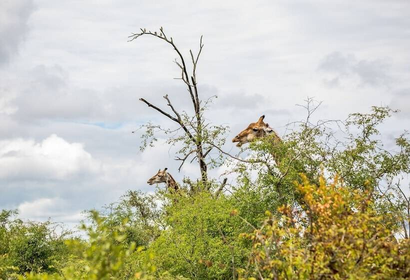 Отель Rio Vista Lodge