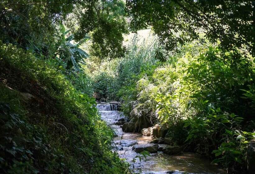 بنسيون Africa S Eden Guesthouse