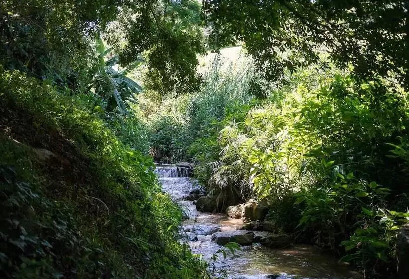 پانسیون Africa S Eden Guesthouse