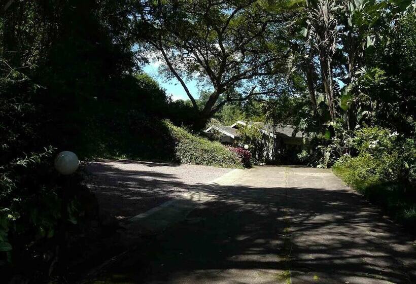 بنسيون Africa S Eden Guesthouse