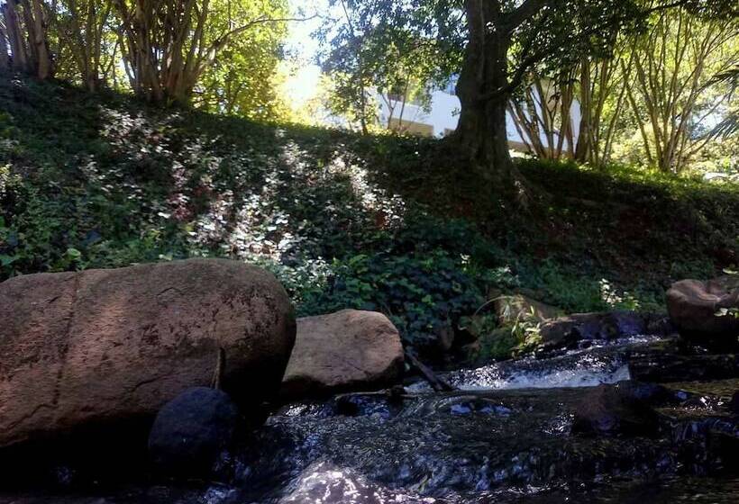 بنسيون Africa S Eden Guesthouse