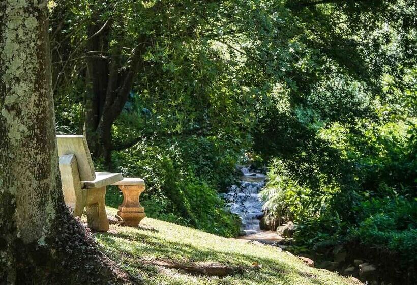 بنسيون Africa S Eden Guesthouse