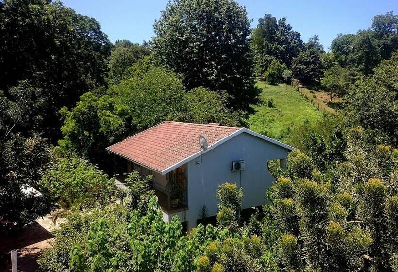 بنسيون Africa S Eden Guesthouse