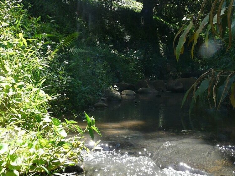 بنسيون Africa S Eden Guesthouse