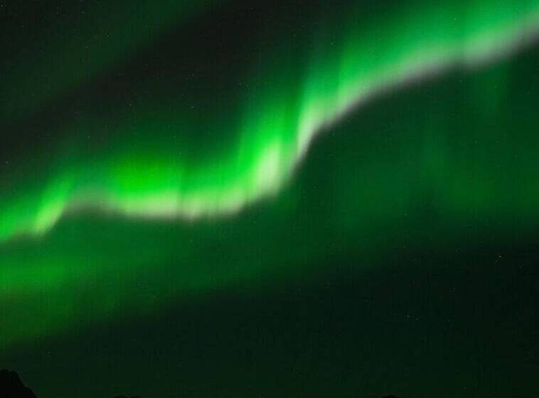 פנסיון Salteriet