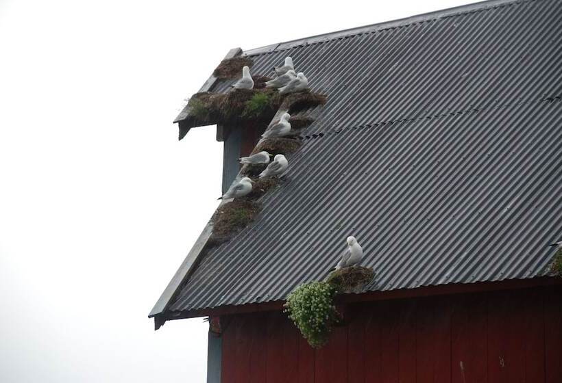 פנסיון Salteriet