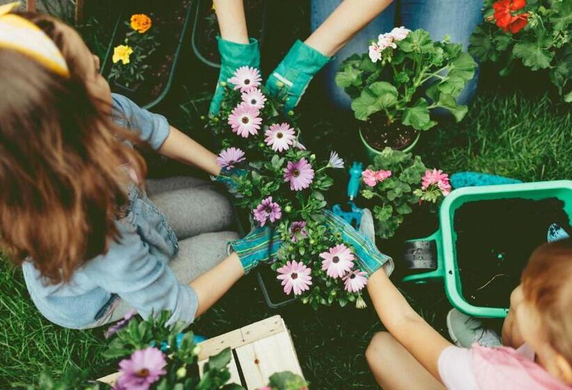 هتل Domes Zeen Chania, A Luxury Collection Resort, Crete