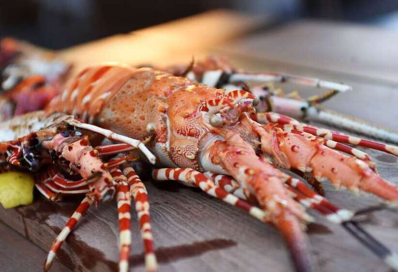 בית מלון כפרי Karpaha Sands