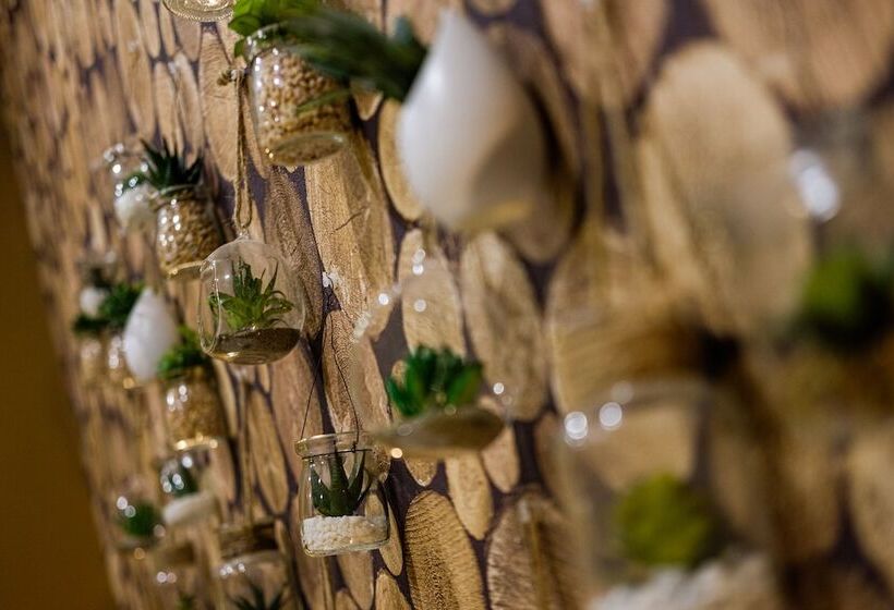 Y.baixa   Boutique Apartments