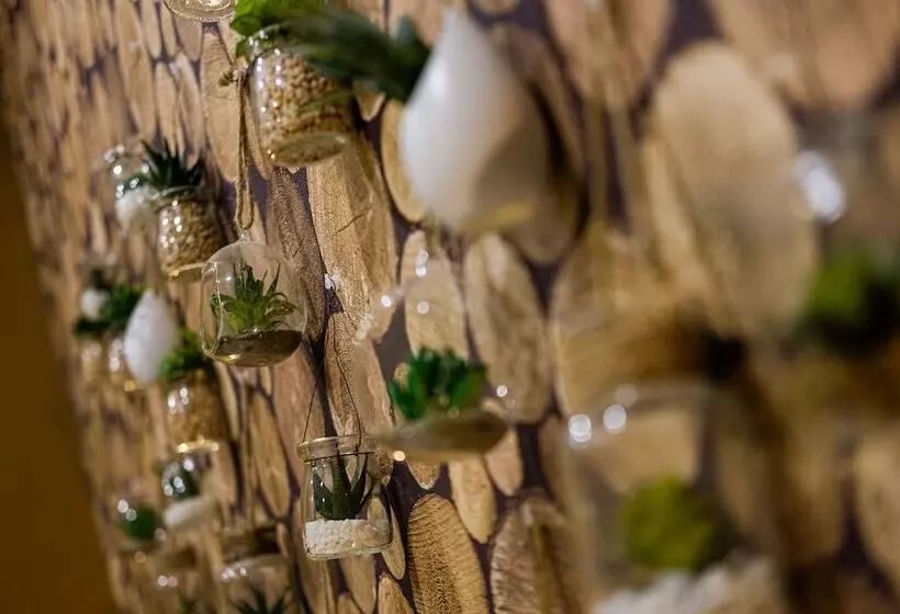 Y.baixa   Boutique Apartments