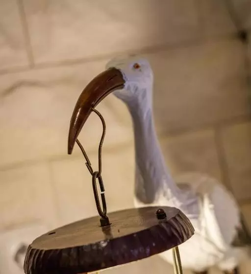 Y.baixa   Boutique Apartments