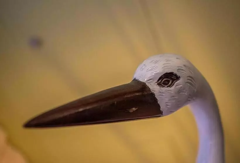 Y.baixa   Boutique Apartments