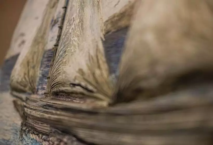 Y.baixa   Boutique Apartments