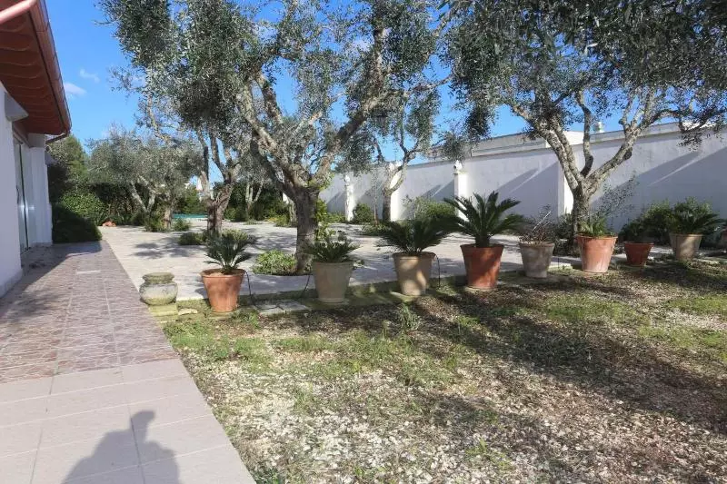 Agriturismo Panacea
