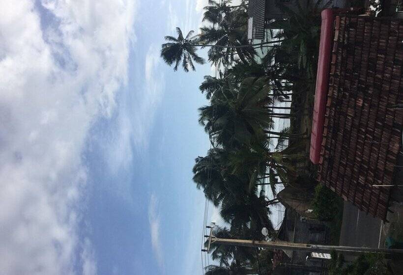 Bed and Breakfast White Baby Beach Rest