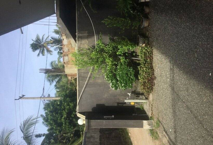 Bed and Breakfast White Baby Beach Rest