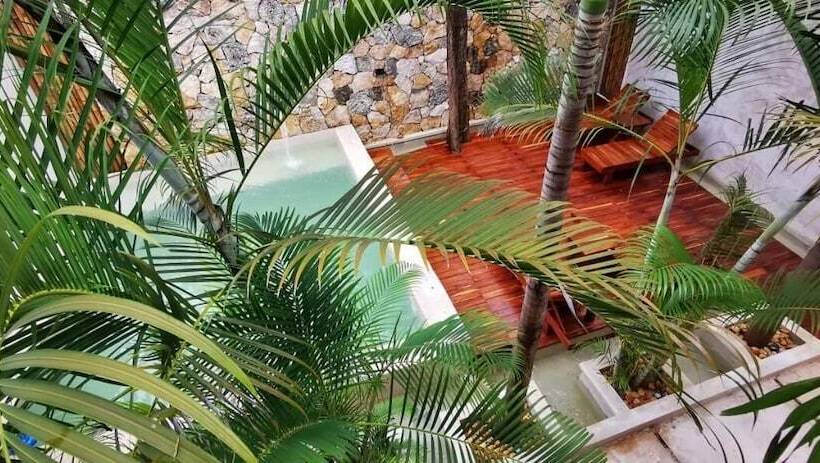 בית מלון כפרי Casa Bamboo