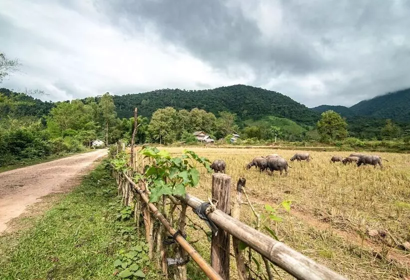 Hotelli Muang La Lodge
