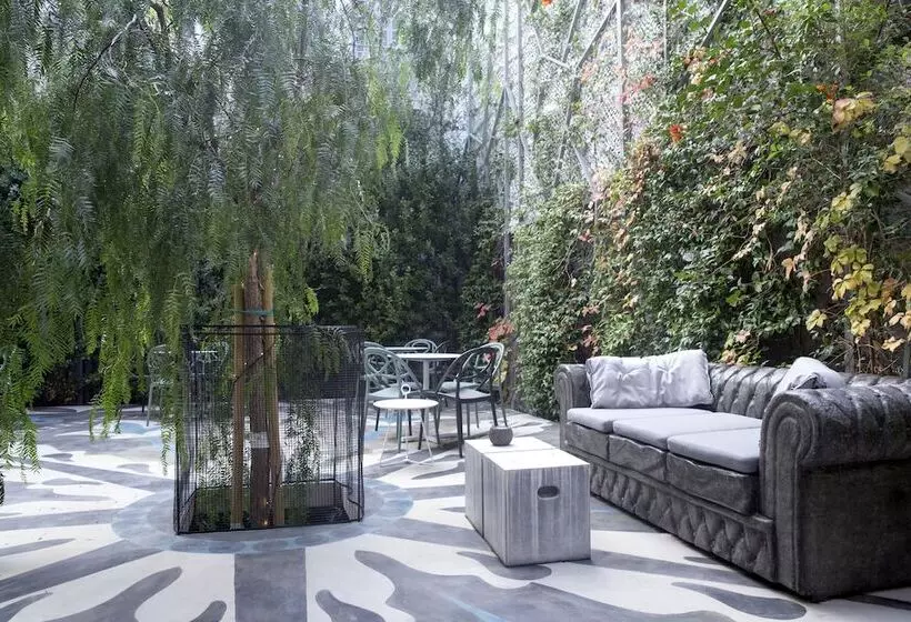 Majatalo Apollon Library Suites