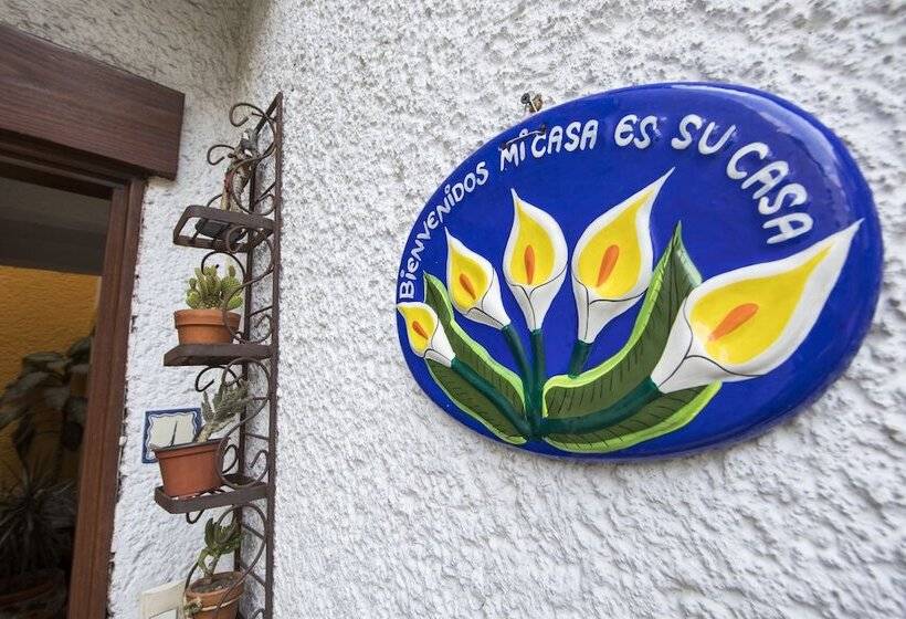 پانسیون Casa Ayvar