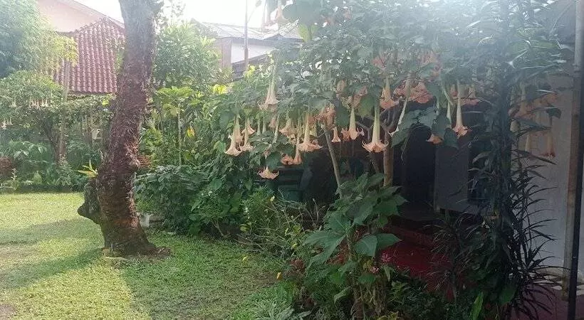 Pensió Griya Palayu