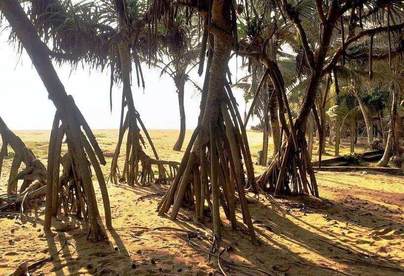 Pensionat Sri Lanka Beach House Hotel And Spa